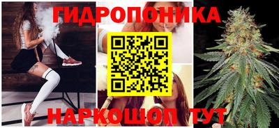 бошки Краснознаменск