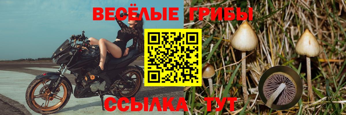 Псилоцибиновые грибы Magic Shrooms Евпатория