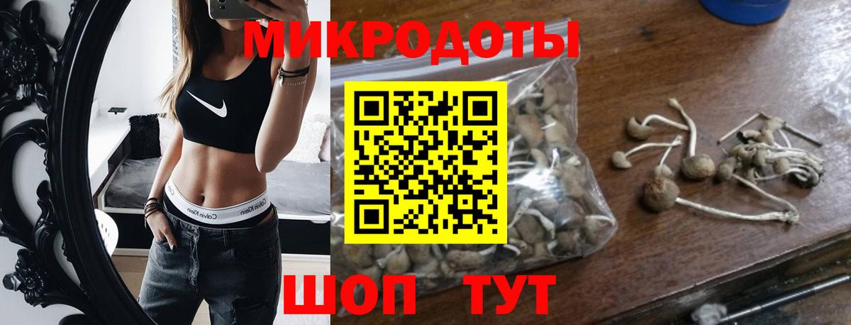 Евпатория  закладки  Вход с VPN  Псилоцибиновые грибы GOLDEN TEACHER 
